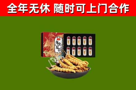 合江烟酒回收冬虫夏草礼盒.jpg